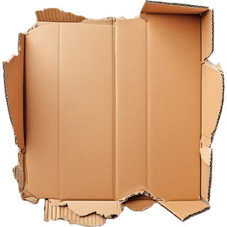 Pappe