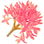 Pink osmanthus