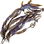 Laminaria