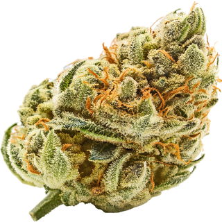 Marihuana