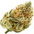 Marijuana