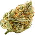 Marihuana