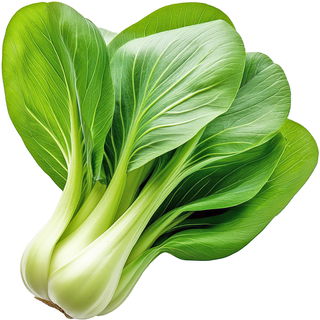 Pak Choi