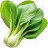 Pak Choi