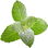 Candied peppermint