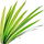 Gras