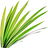 Gras