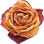 Dried rose