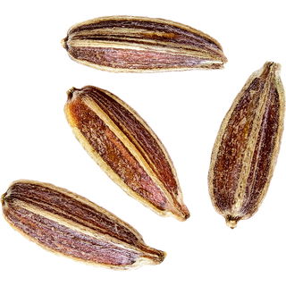 Kümmel
