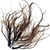 Roots