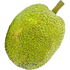Breadfruit