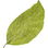 grüner Tabak