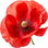 Mohn