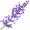 Meadow clary