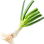Spring onion