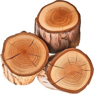 Feuerholz