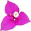 Bougainvillea