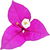Bougainvillea