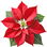 Poinsettia