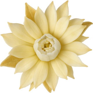 Bakul Attar