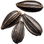 Black caraway