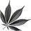 schwarzes Cannabis
