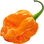 Habanero-Chili