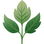 aromatische Noten
