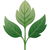 aromatische Noten