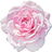 Taif-Rose