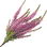 Scotch heather