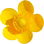 Buttercup