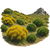 Mediterranean undergrowth