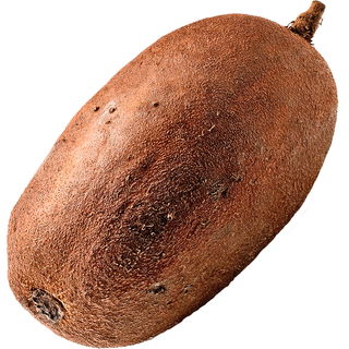 Cupuaçu