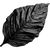 Black tobacco