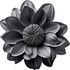 Black blossoms
