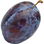 Damson plum