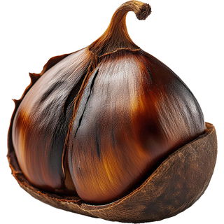 verkohlte Kastanie