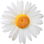 Daisy tree