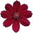 Schokoladenblume