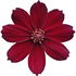 Chocolate flower