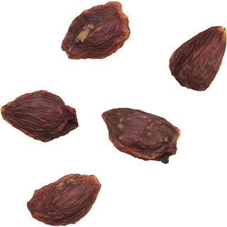 Blackcurrant seed