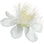Guavenblüte