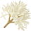 White osmanthus