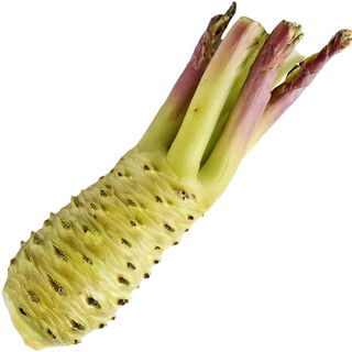 Wasabi