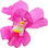 Snapdragon