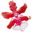 Sharry-Baby-Orchidee