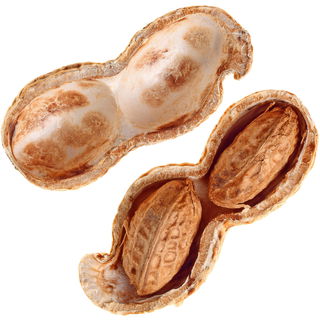 Peanut husk
