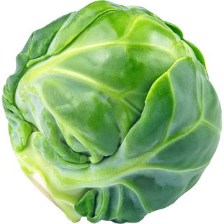 Rosenkohl
