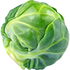 Rosenkohl